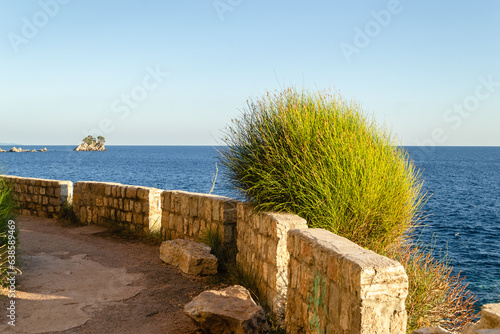 Sunlit cliffs, covered with branches of evergreen trees, in Petrovac na Moru, Montenegro.