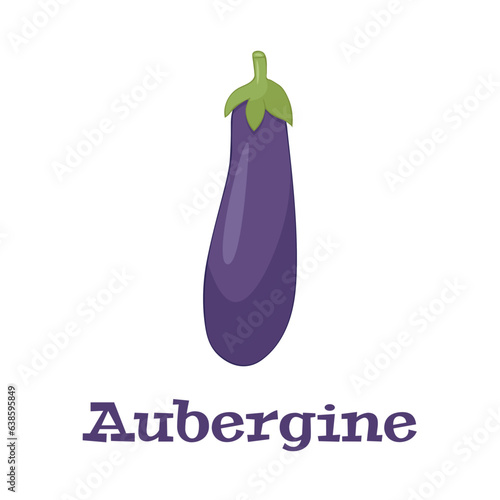Eggplant veggie food.Purple aubergine,Guibea squash.Fruit of brinjal edible vegetarian food,farm and agriculture product