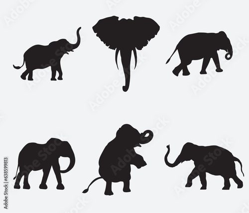 Elephant collection - vector silhouette