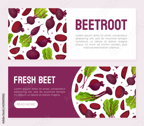 Beetroot Vegetable Crop Banner Design Design Vector Template