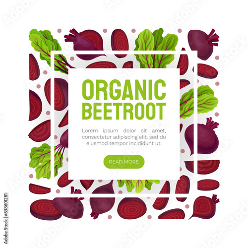 Beetroot Vegetable Crop Banner Design Design Vector Template