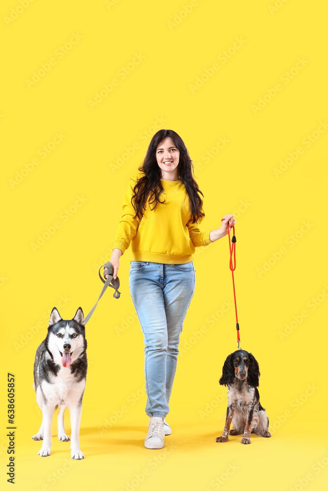 Young woman with cute dogs walking on yellow background