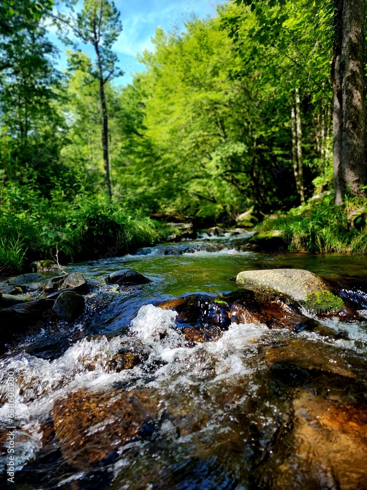 Obraz premium Flowing river in the Great Smoky Mountains National Park 