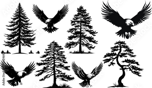 Set of forest trees, eagle silhouettes