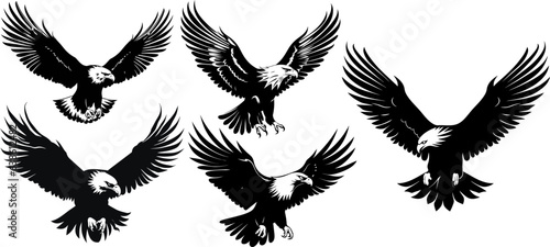 Set of silhouettes of Flying and sitting eagle in black in different poses isolated on a white background. High Detail. Vector Illustration photo