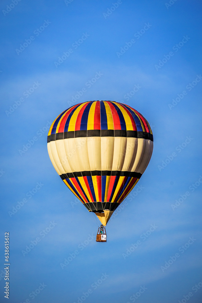 Naklejka premium Hermoso y silencioso , amigo del viento , navegando cielos Argentinos.