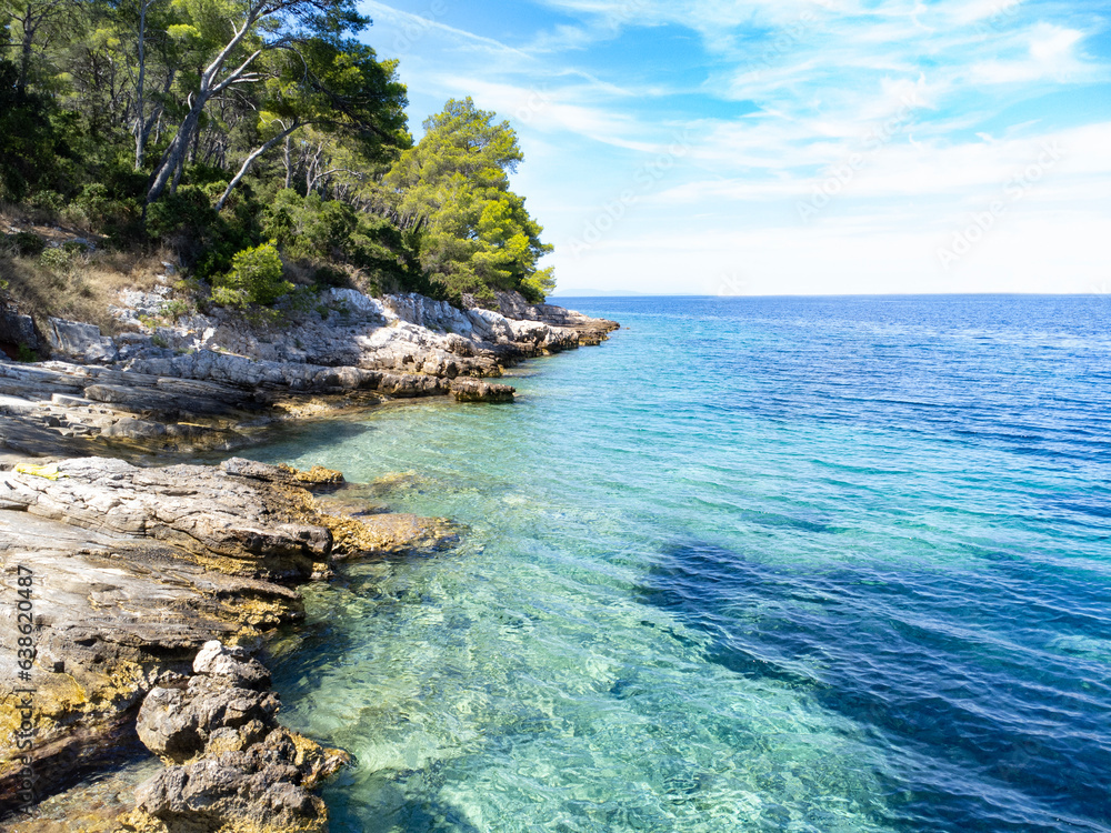 Rocky shore coast with trees and sky blue sea. Colorful summer scene
