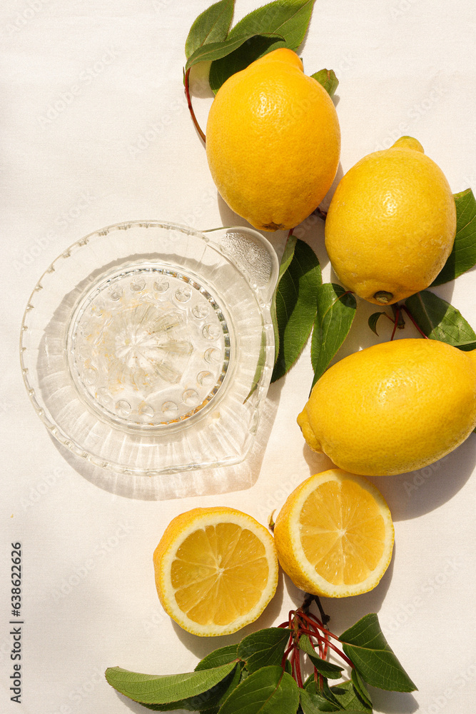 lemon and citrus squeezer lemon and citrus squeezer