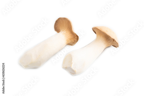 King Oyster mushrooms or Eringi (Pleurotus eryngii isolated on white. Side view.