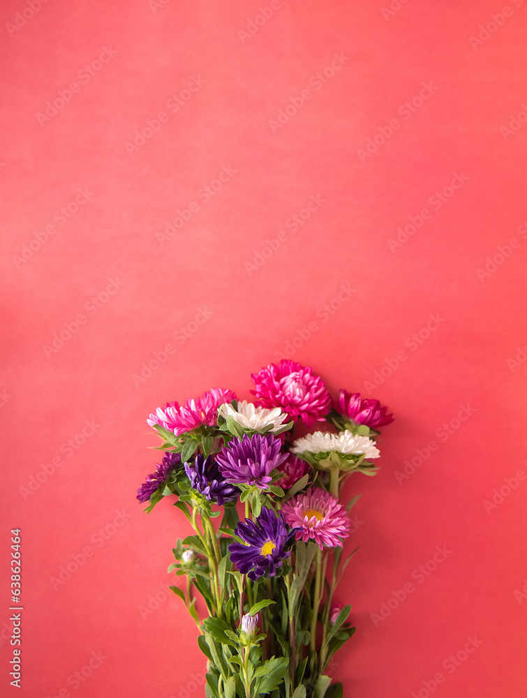 Fototapeta premium Flowers on a pink bright background