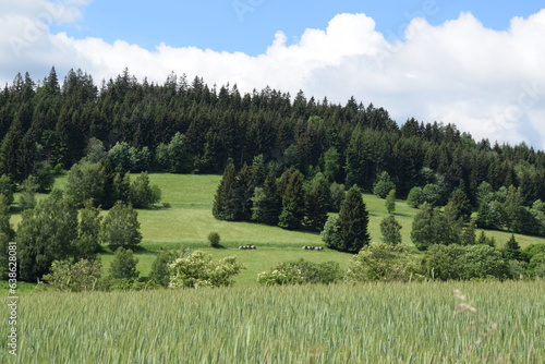 Fototapeta Naklejka Na Ścianę i Meble -  Beautiful mountains scenery, green forest landscape in mountains in Poland.