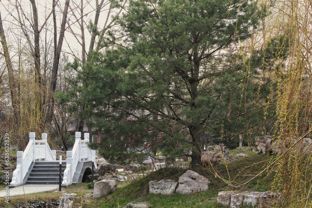 Bridge in chinese traditional stone garden. Green plants and rocks in oriental forest. Decorative shrub for landscaping in Asian style. Zen garden with grass and pebbles. Marble rockery stone Bridge in chinese traditional stone garden. Green plants and rocks in oriental forest. Decorative shrub for landscaping in Asian style. Zen garden with grass and pebbles. Marble rockery stone