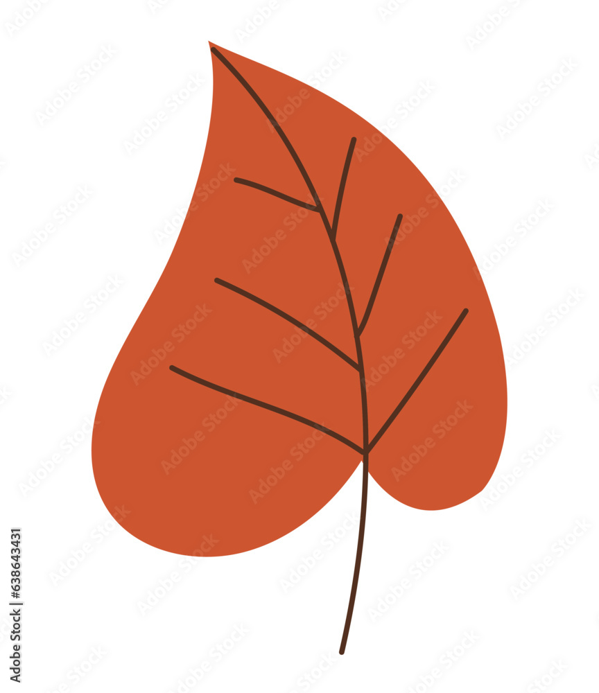autumn leaf design