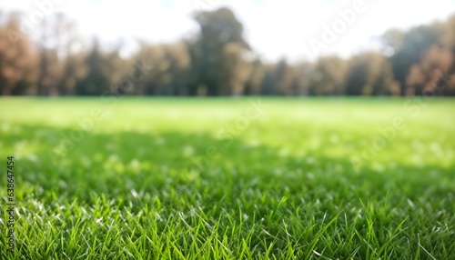 Green lawn with fresh grass outdoors. Nature spring grass background texture, размытый задний план with copy space. Landscaping of a parking area.