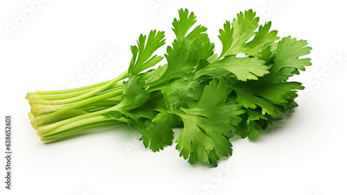 Green parsley leaves on white background.