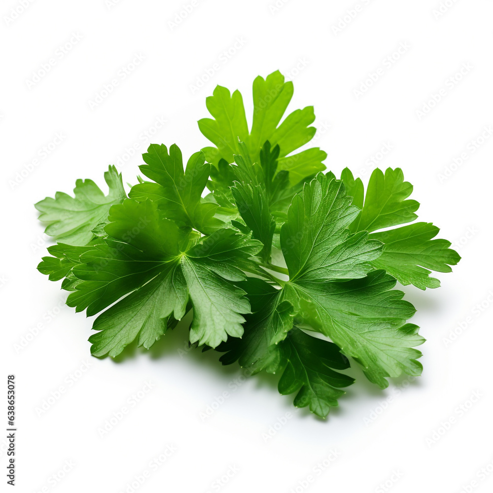 Green parsley leave on white background, AI generated. Green parsley leave on white background, AI generated.