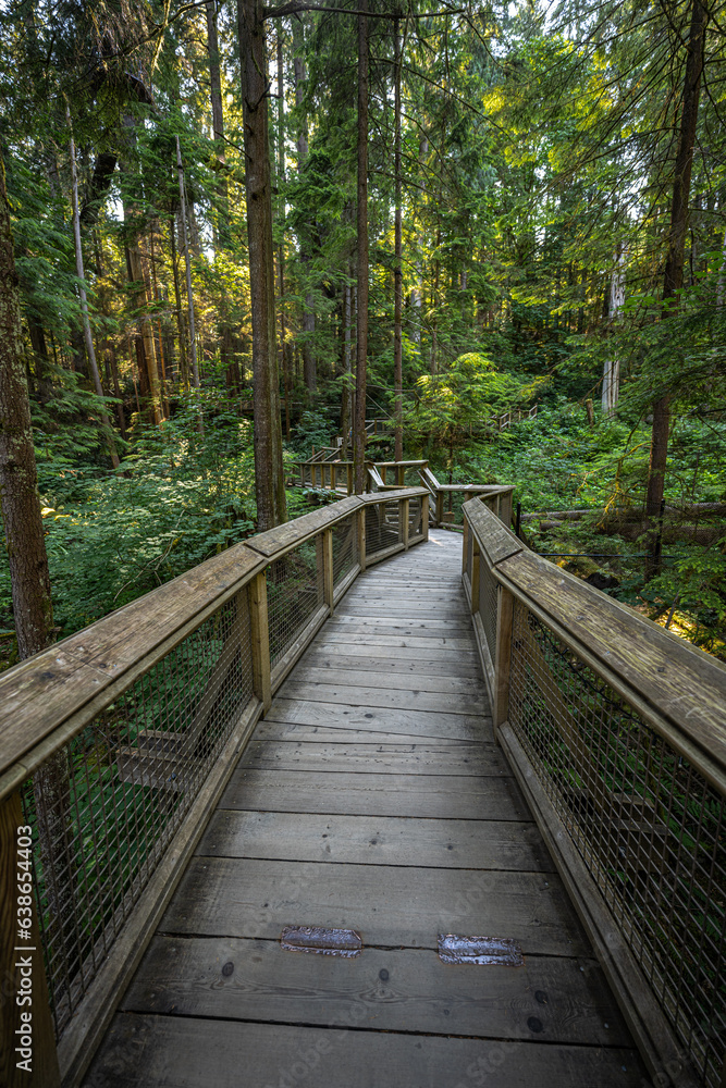 Walkway in the Capilano Suspension Bridge Park in Vancouver, Canada Walkway in the Capilano Suspension Bridge Park in Vancouver, Canada