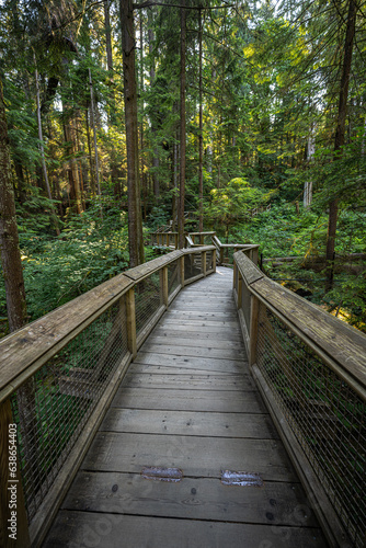 Walkway in the Capilano Suspension Bridge Park in Vancouver, Canada