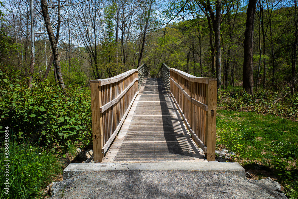 Walk path with a creek bridge with symmetrical railings leading into wooden area with blue sky, in the Montour Woods Conservation Area.