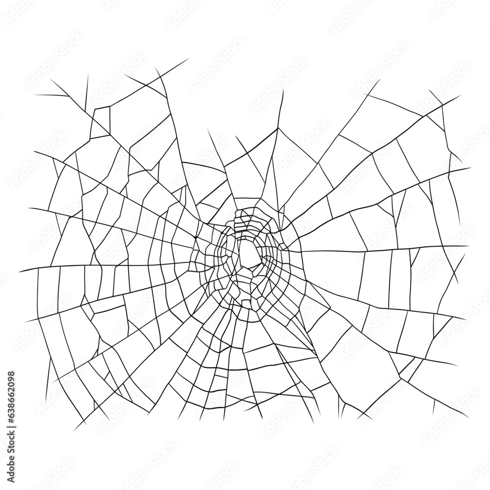 Realistic Spider Web, Hand Draw Vector
