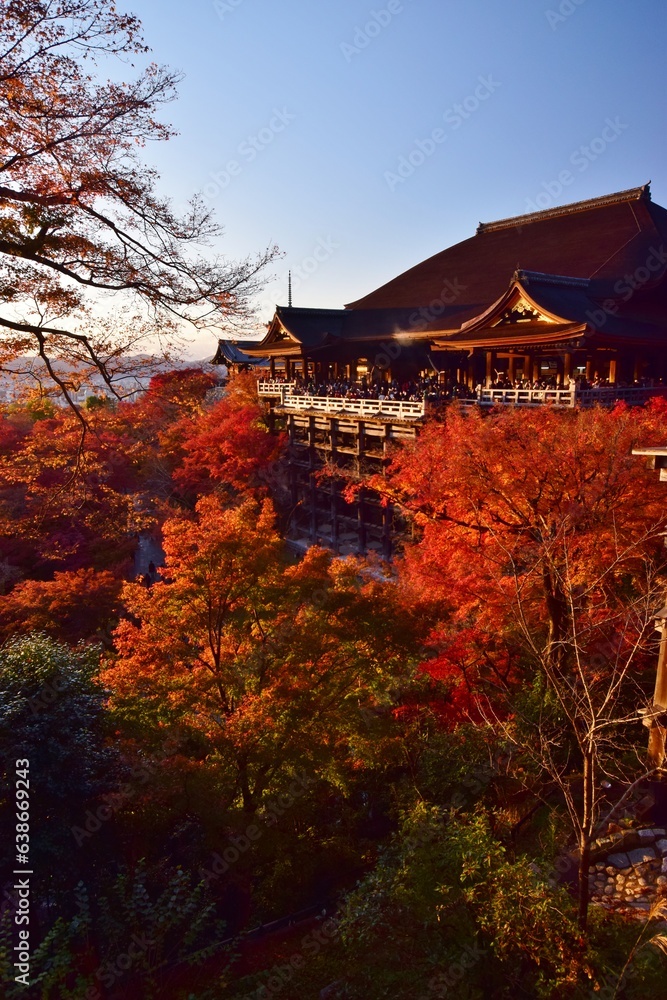 京都の秋　紅葉の清水寺