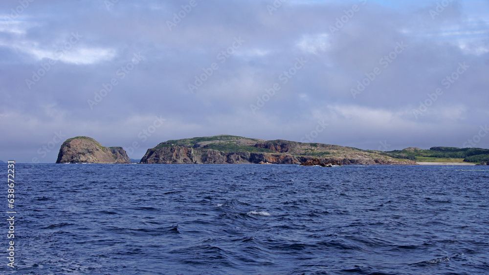 Naklejka premium Twillingate Coastline