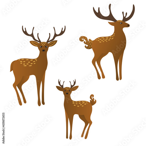 deer's family
