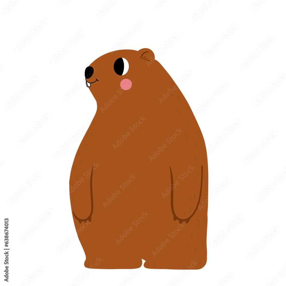 brown bear isolated on white png brown bear isolated on white png