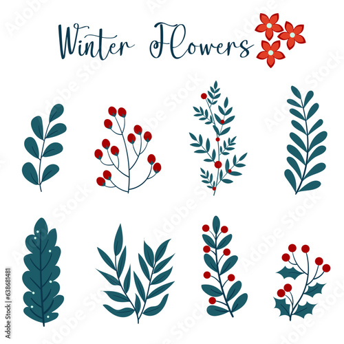 set of winter flowers 