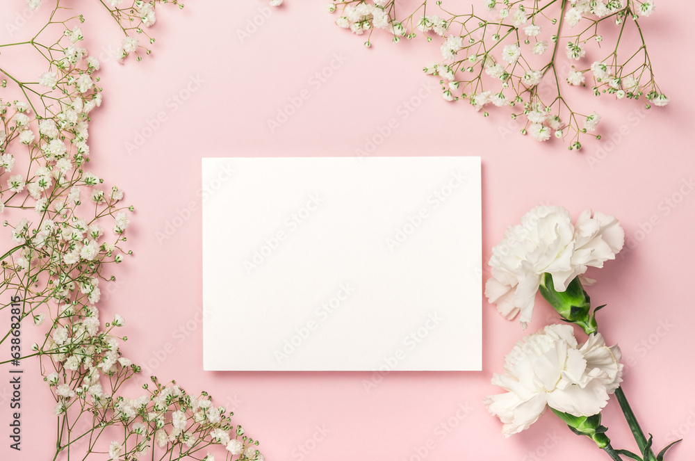 Delicate white carnations, gypsophila, blank card on a pink background. Flat composition. Postcard, invitation. Delicate white carnations, gypsophila, blank card on a pink background. Flat composition. Postcard, invitation.