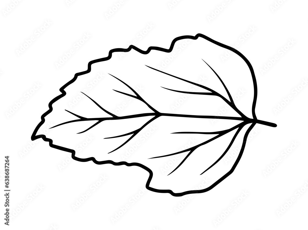 Leaves Line Art Illustration
Leaves Line Art Illustration