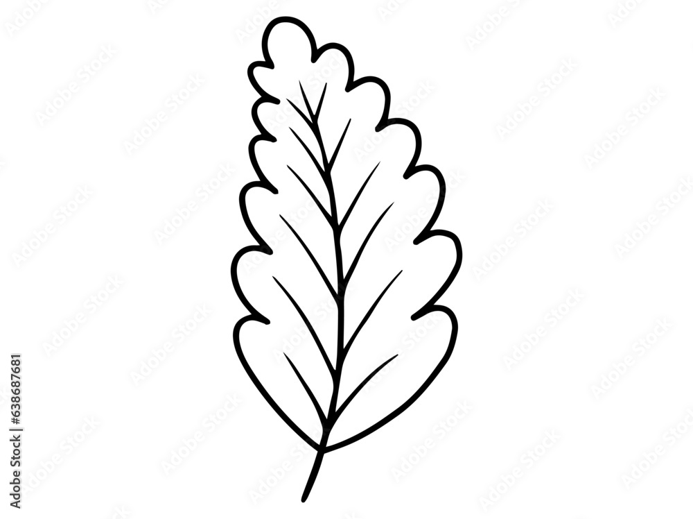 Fototapeta premium Leaves Sketch Line Art Illustration 
