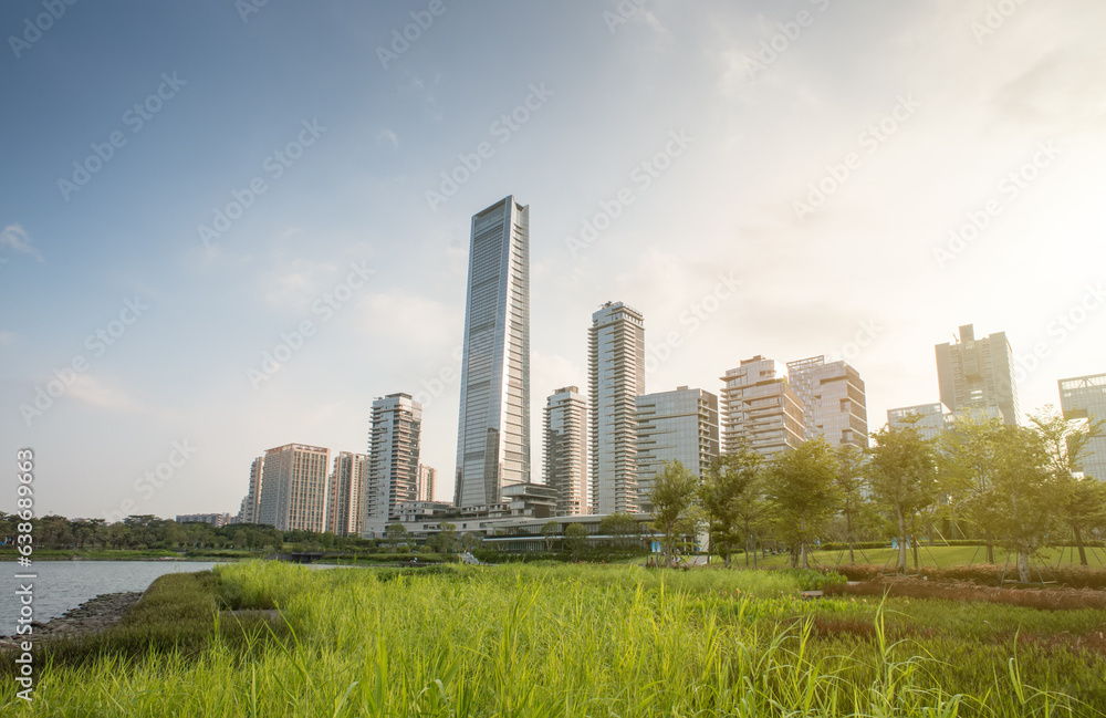 Fototapeta premium Downtown Shenzhen skyline