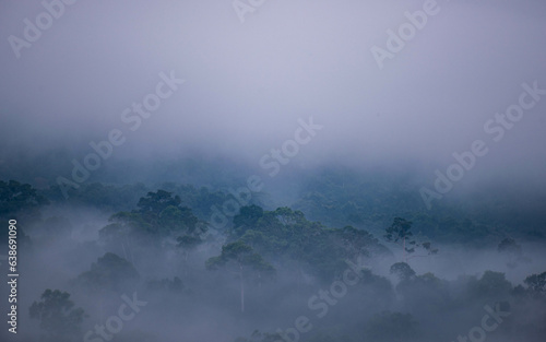 misty morning in the mountains of tropical forest