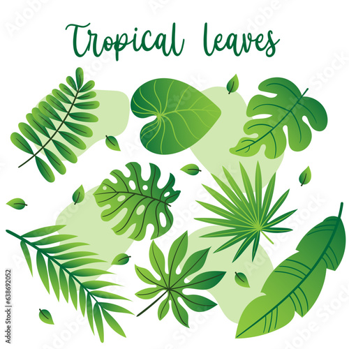 set of green tropical leaves