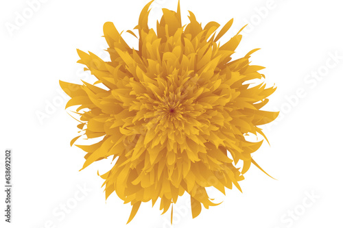 Flower Petal Vector Design With Transparent Background