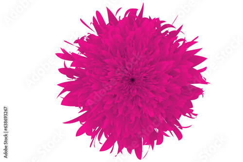 Flower Petal Vector Design With Transparent Background