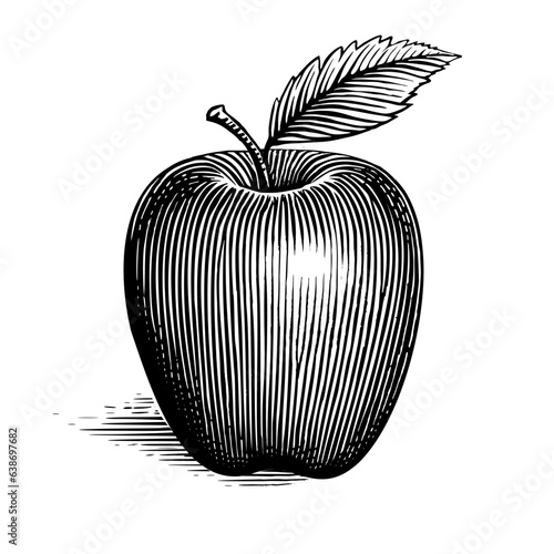 An illustration of an apple with an apple leaf, the vector versions has the leaf, apple and shadow held on different layers for easy of remove or change if required. 