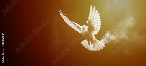 White dove flying free out of the darkroom with smoke on a black background  freedom concept and International Day of Peace