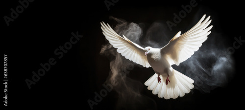 White dove flying free out of the darkroom with smoke on a black background. freedom concept and International Day of Peace