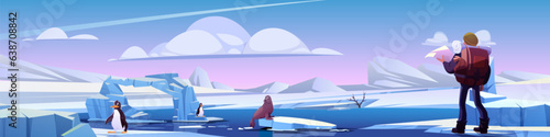 Man hiker in north - cartoon vector background. Tourist with large backpack stands on snow and frozen ice covered landscape next to penguins and sea lion. Wildlife researcher meets northern animals