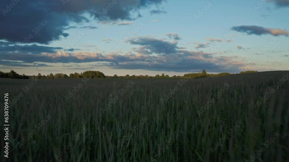 Flying Above Grass Field In The Countryside At Sunset Flying Above Grass Field In The Countryside At Sunset