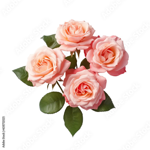 Beautiful Roses, high quality, isolated on a white background PNG © JetHuynh