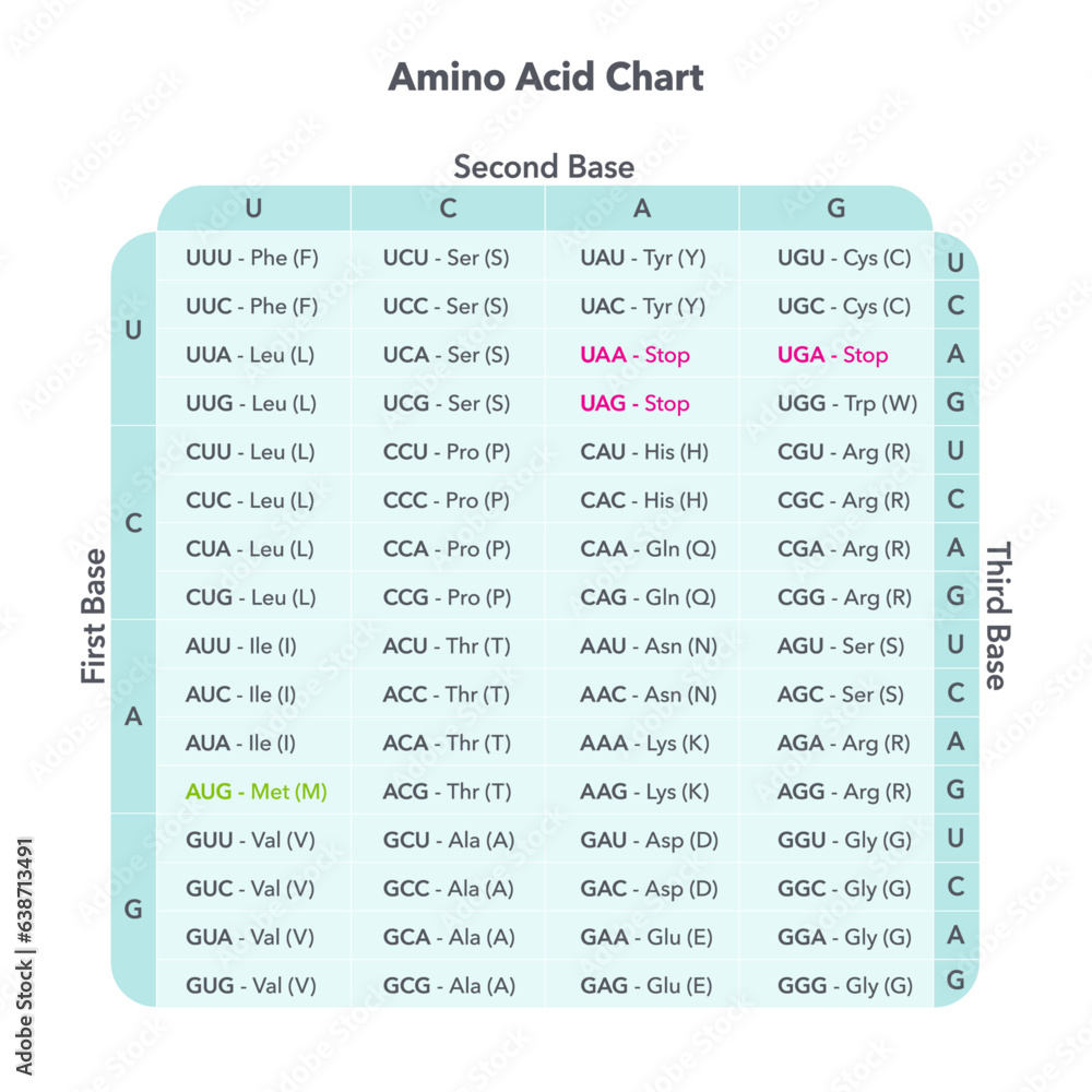 Amino Acid Codon Table genome sciences vector graphic Stock Vector ...