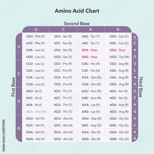 Amino Acid Codon Table genome sciences vector graphic