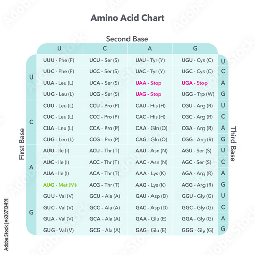 Amino Acid Codon Table genome sciences vector graphic