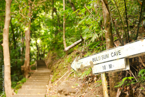 footpath with many steps leading to the Bulu Sum Cave tourist attraction in the Sumpang Bita National Park area, Pangkep, South Sulawesi photo