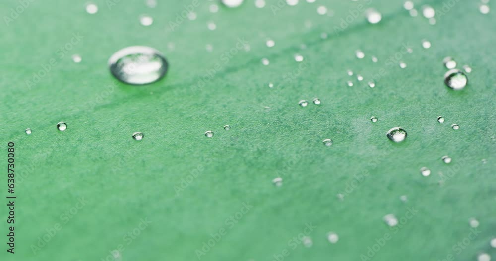 Micro video of close up of water drops with copy space on green background Micro video of close up of water drops with copy space on green background