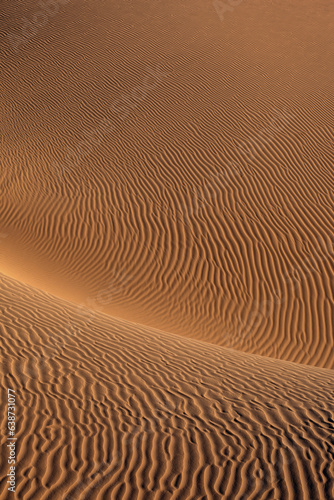 Detail of patterns in rolling sand dunes vertical