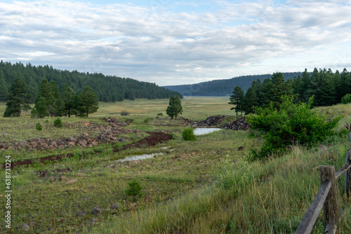 Lush grassy field with stream and pine covered hills